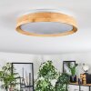 Sofo Plafondlamp LED Wit, 1-licht