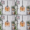 Vevino Hanglamp Zwart, 3-lichts