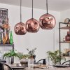 Ripoll Hanglamp Zwart, 3-lichts