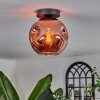Ripoll Plafondlamp Koperkleurig, 1-licht Ripoll Plafondlamp Koperkleurig, 1-licht