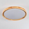 Sofo Plafondlamp LED Wit, 1-licht, Afstandsbediening