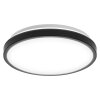 Ledvance Bathroom Badkamerlamp LED Zwart, 1-licht