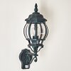 Lentua Buiten muurverlichting Groen, Zwart, 1-licht, Bewegingsmelder
