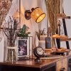 Ramila Wandlamp, Muurspot Zwart, 1-licht