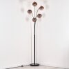 Koyoto Staande lamp Duidelijk, Koperkleurig, 5-lichts