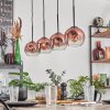 Ripoll Hanglamp Duidelijk, Koperkleurig, 4-lichts