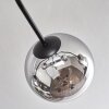 Gastor Plafondlamp 74 cm Chroom, Duidelijk, Rookkleurig, 6-lichts