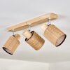 Kinnared Plafondlamp, Plafondspot Chroom, Natuurlijke kleuren, 3-lichts