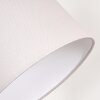 Nobar Staande lamp, Leeslamp Beige, 1-licht