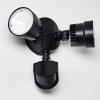 Emmerlev Buiten muurverlichting LED Zwart, 2-lichts, Bewegingsmelder