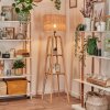 Jinya Staande lamp Natuurlijke kleuren, 1-licht