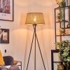 Barcos Staande lamp Beige, Natuurlijke kleuren, 1-licht