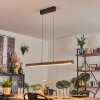 Carbellino Hanglamp Donkerbruin, Zwart, 1-licht