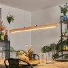 Carbellino LED Natuurlijke kleuren, Zwart, 1-licht