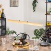 Carbellino LED Natuurlijke kleuren, Zwart, 1-licht