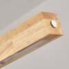 Carbellino LED Natuurlijke kleuren, Zwart, 1-licht