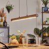 Carbellino Hanglamp LED Wit, 1-licht