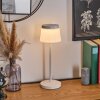 Algeraz Buiten tafellamp, Tafellamp Wit, 1-licht