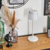 Algeraz Buiten tafellamp, Tafellamp Wit, 1-licht