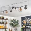 Gastor Plafondlamp, Kogellampje Amber, Duidelijk, Rookkleurig, 6-lichts
