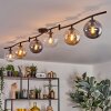 Gastor Plafondlamp, Kogellampje Amber, Duidelijk, Rookkleurig, 6-lichts