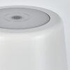 Belece Buiten tafellamp, Tafellamp LED Wit, 1-licht