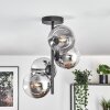 Gastor Plafondlamp, Kogellampje Chroom, Duidelijk, Rookkleurig, 4-lichts
