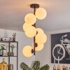 Gastor Plafondlamp, Kogellampje Transparant, 8-lichts