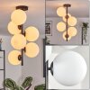 Gastor Plafondlamp, Kogellampje Transparant, 6-lichts