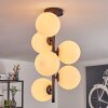 Gastor Plafondlamp, Kogellampje Transparant, 6-lichts