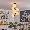 Gastor Plafondlamp, Kogellampje Transparant, 6-lichts
