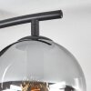 Gastor Plafondlamp, Kogellampje Amber, Duidelijk, Rookkleurig, 2-lichts