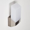 Clear Buiten muurverlichting LED Nikkel mat, 1-licht