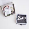 Clear Buiten muurverlichting LED Nikkel mat, 1-licht