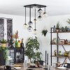 Chehalis Plafondlamp, Kogellampje Amber, Duidelijk, Rookkleurig, 9-lichts