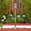 Loria Pad licht Bruin, Goud, Zwart, 1-licht