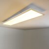 Deckenleuchte Plafondlamp, Paneel LED Wit, 1-licht, Afstandsbediening, Kleurwisselaar