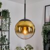 Gastor Hanglamp, Kogellampje 20 cm Goud, Duidelijk, 1-licht