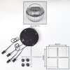 Koyoto Hanglamp, Kogellampje 35 cm Duidelijk, Rookkleurig, 4-lichts