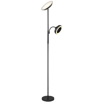Globo DAVYD Staande lamp LED Zwart, 1-licht Globo DAVYD Staande lamp LED Zwart, 1-licht