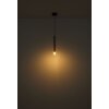 Globo Blake Hanglamp Zwart, 1-licht