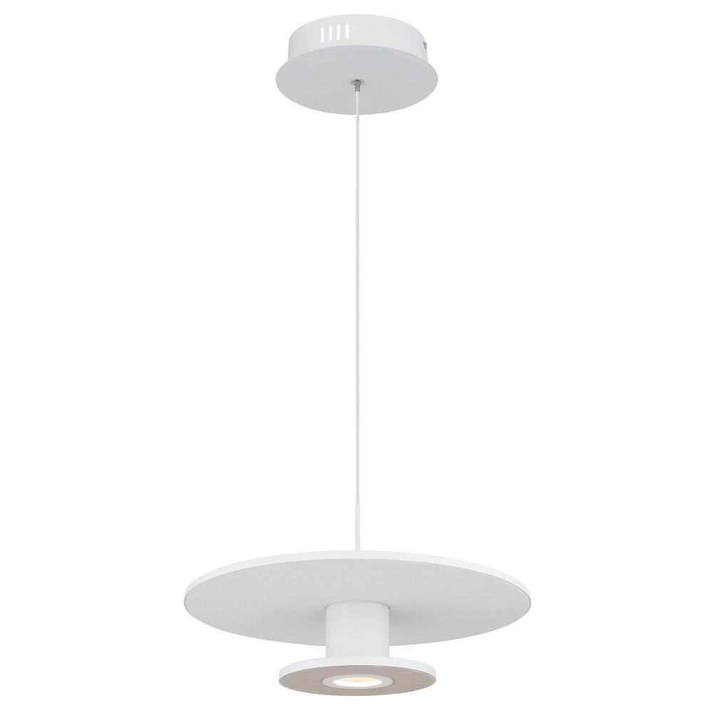 Globo Carter Hanglamp LED Wit, 1-licht main product photo