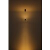 Globo Alvarado Hanglamp LED Zwart, 1-licht