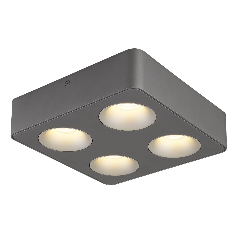 Globo Hangarau Plafondlamp LED Grijs, 1-licht main product photo