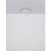 Globo Abigail Plafondlamp LED Wit, 1-licht