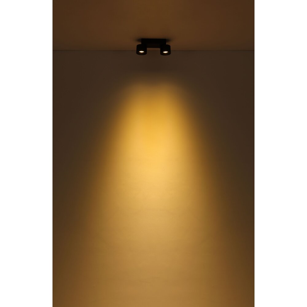 Globo Rae Plafondlamp LED Zwart, 2-lichts