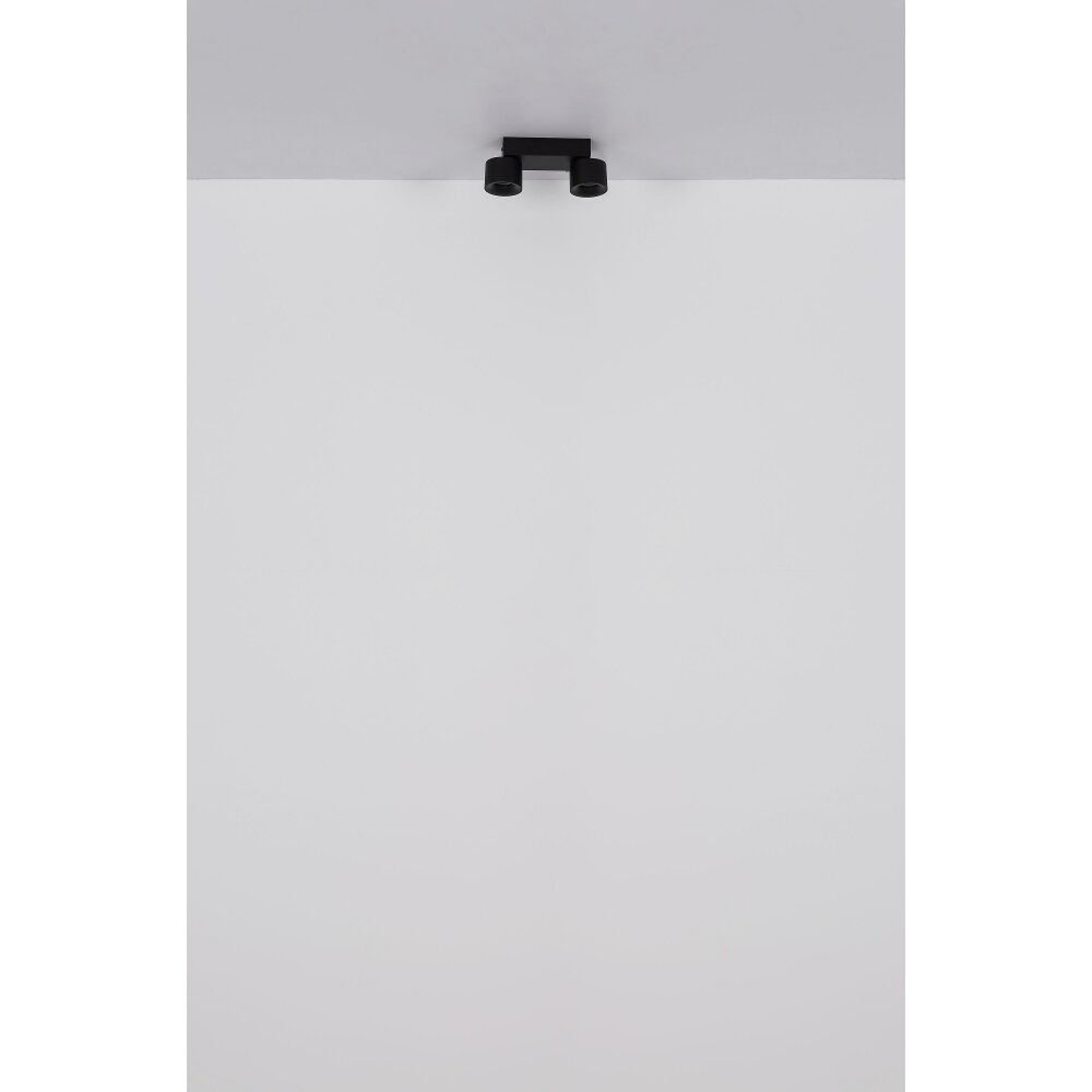 Globo Rae Plafondlamp LED Zwart, 2-lichts