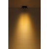 Globo Rae Plafondlamp LED Zwart, 2-lichts