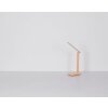 Globo Bulla Tafellamp LED Roze, 1-licht