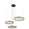 Globo Briggs Hanglamp LED Zwart, 1-licht, Afstandsbediening